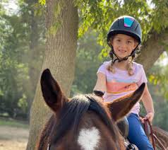 Horse ride game activity rent in Hyderabad